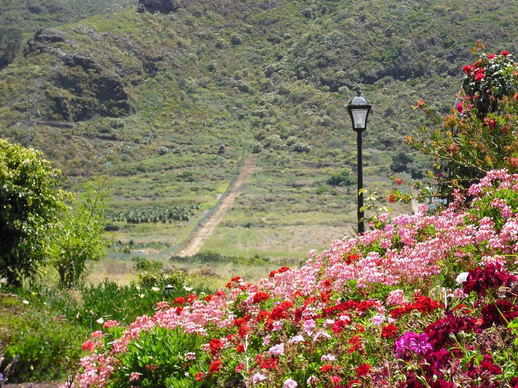 Finca El Picacho Apartments In The Countryside 2 Km From The Beach Tejina Phòng bức ảnh