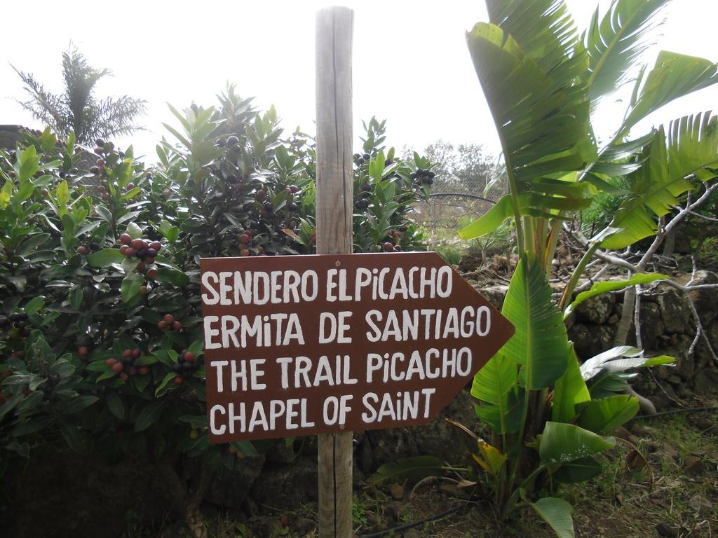 Finca El Picacho Apartments In The Countryside 2 Km From The Beach Tejina Phòng bức ảnh