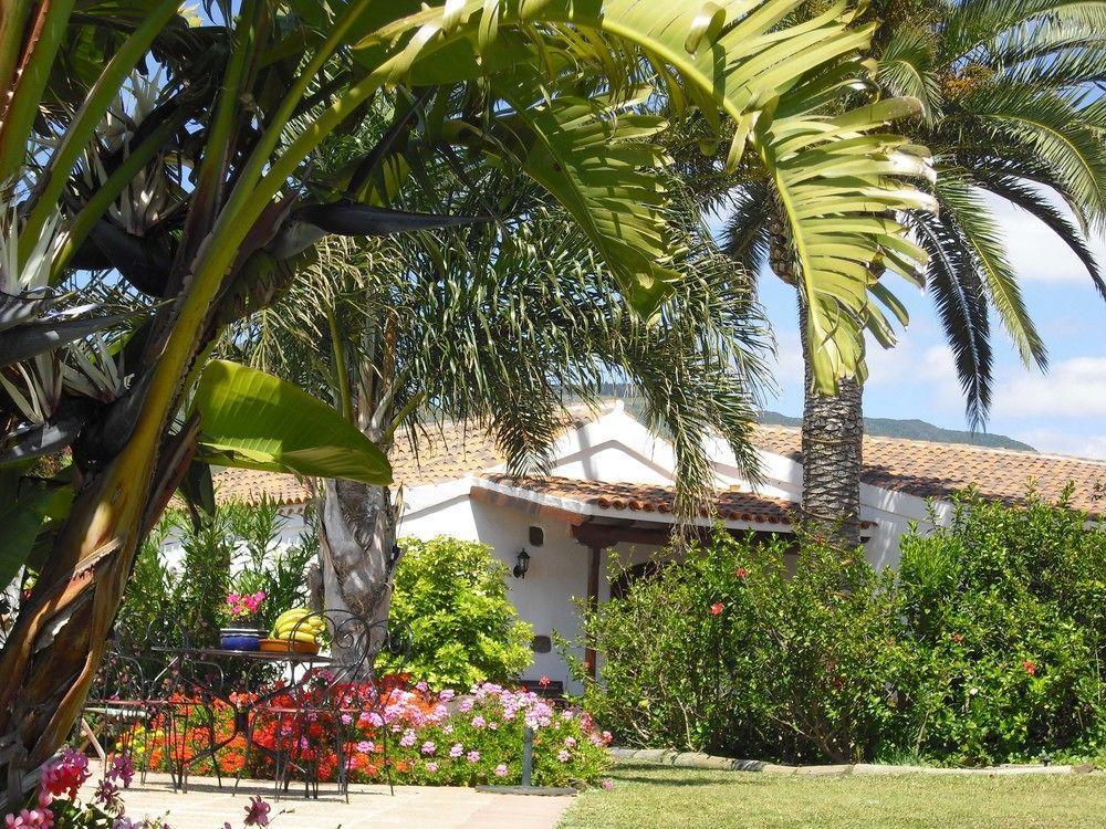 Finca El Picacho Apartments In The Countryside 2 Km From The Beach Tejina Ngoại thất bức ảnh